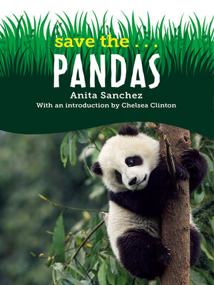 cover image of Save the...Pandas
